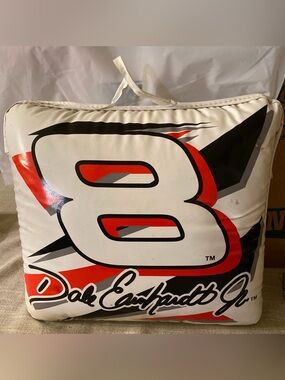 NASCAR  Dale Earnhardt Jr. Vinyl Pillow